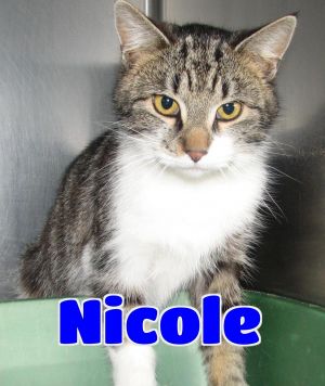 #15 Nicole