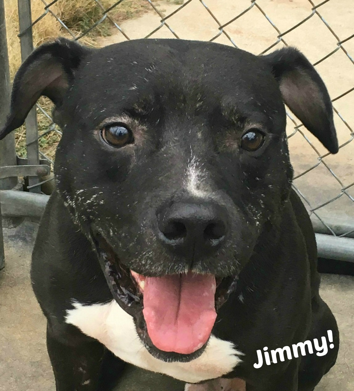 Jimmy detail page