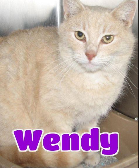 #17 Wendy