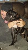 Bella photo 3