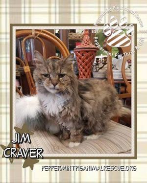 JIM CRAVER