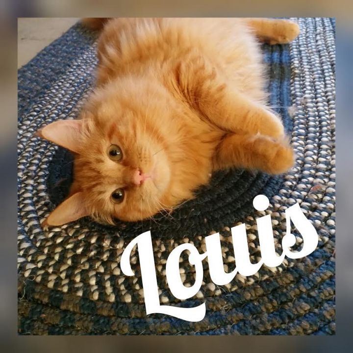 Louis 1