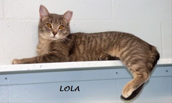 Lola 2