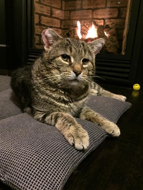 Thomas
