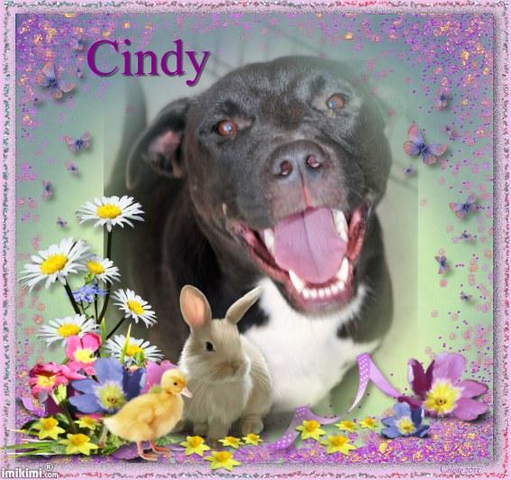 Cindy 2