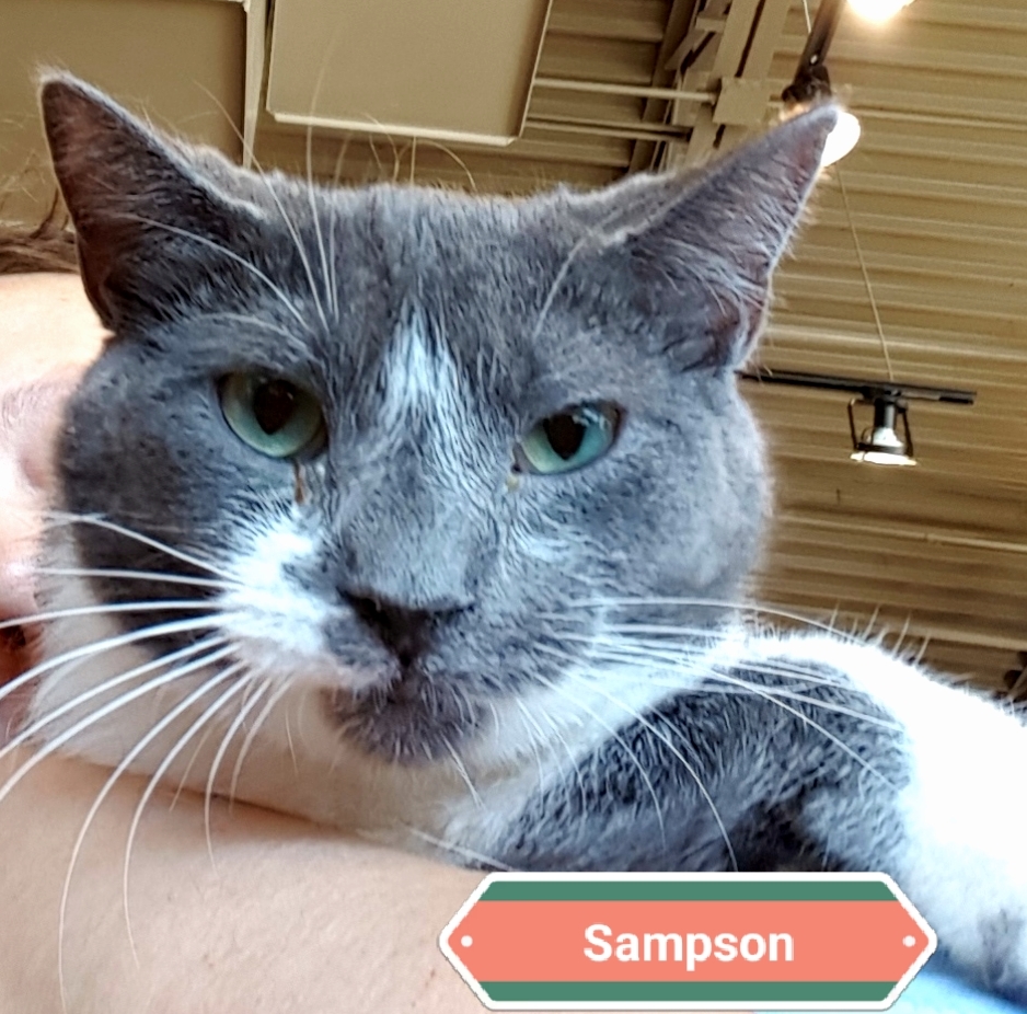 Sampson detail page