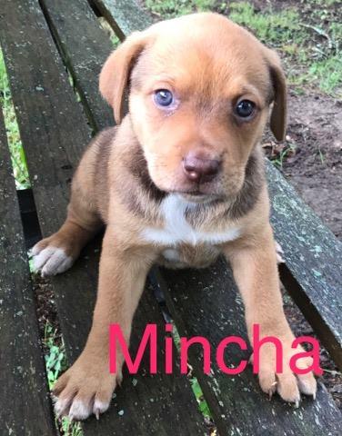 Mincha detail page