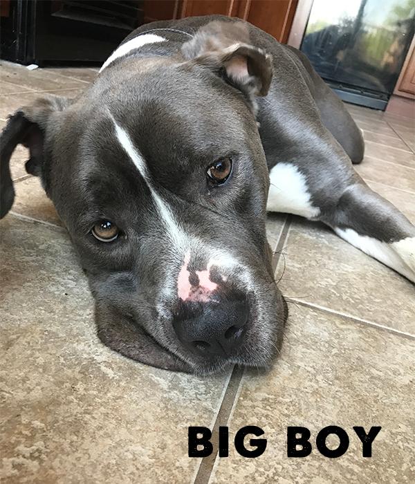 BIG BOY 1