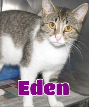 #33 Eden