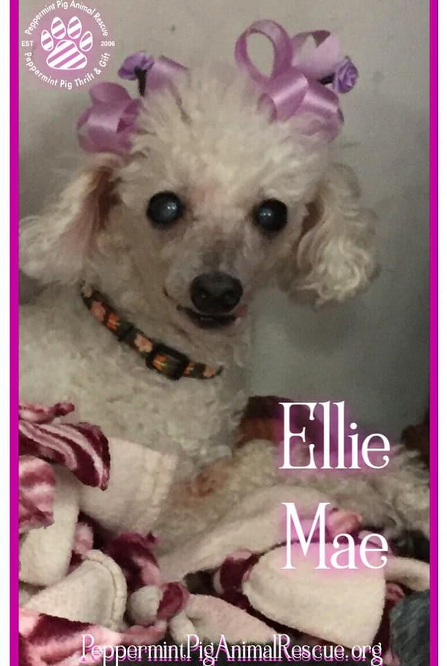 Ellie Mae detail page