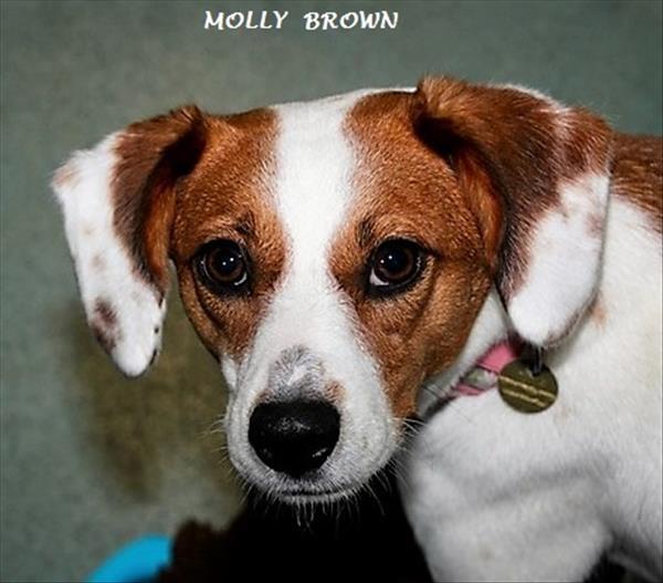 Molly Brown 1