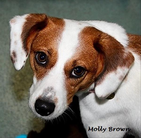 Molly Brown 3