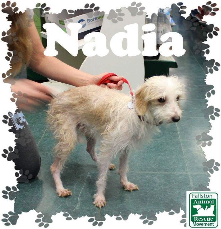 Nadia 2
