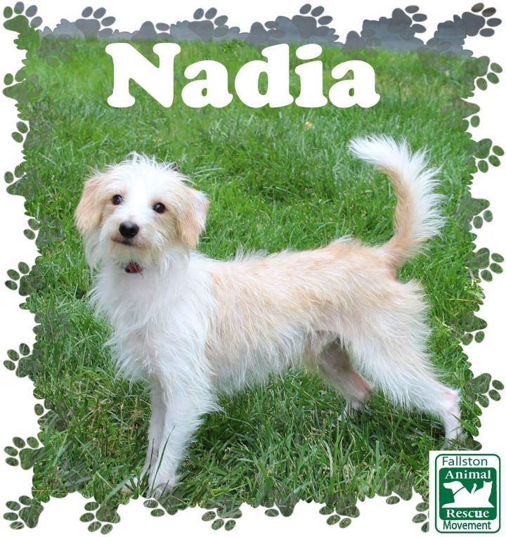 Nadia 3