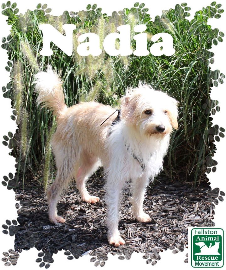 Nadia 1