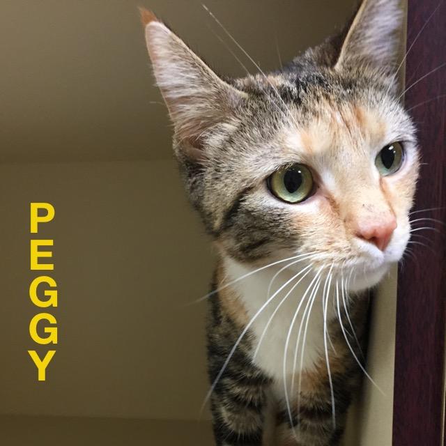 Peggy 1