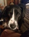 Bella photo 3