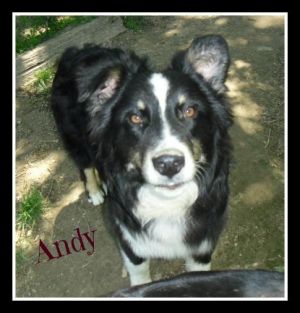 Andy, Young Male unknown