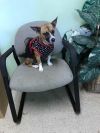 Jill photo 2