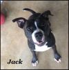 Jack photo 1