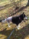 Echo photo 3