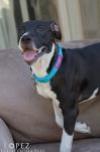 ANNABELLE "ANNIE" photo 3
