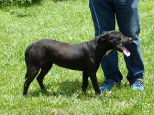 Lil Girl, Adult Female unknown