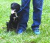 Lil Girl photo 2