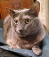 Angel - GiGi&#39;s Daughter photo 2