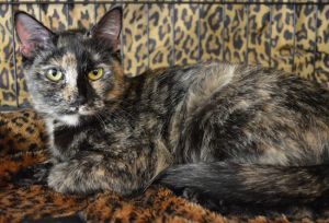 Ninah Is Affectionate!