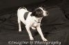 Colby photo 1