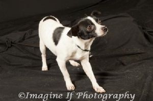 Colby, Senior Male unknown