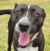 Clyde photo 1