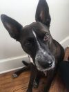 Clyde photo 2