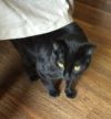 Little One photo 2