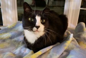 Toohey, Senior Male unknown