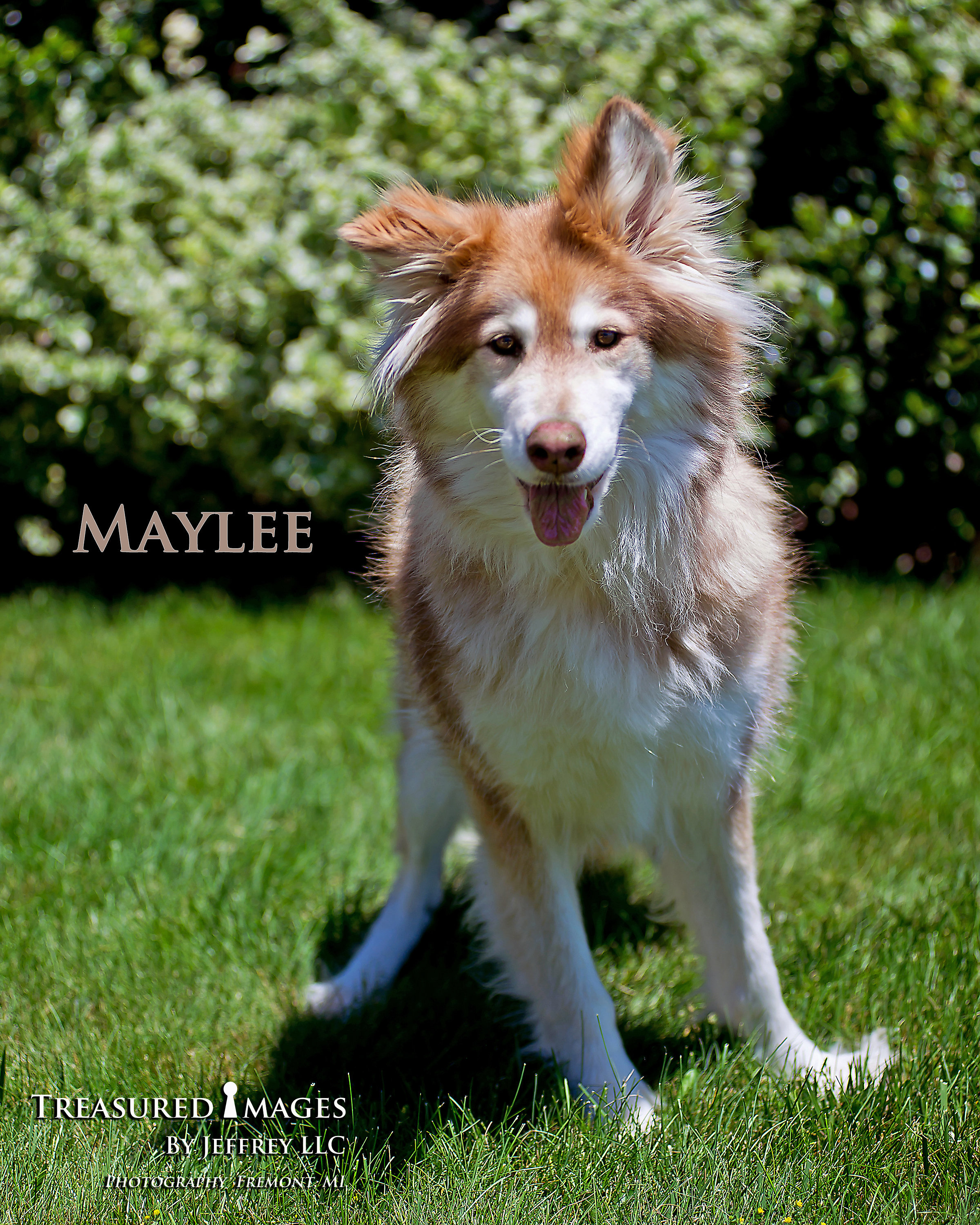 Maylee detail page