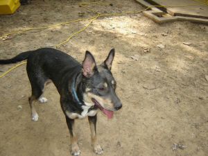Faith, Senior Female unknown