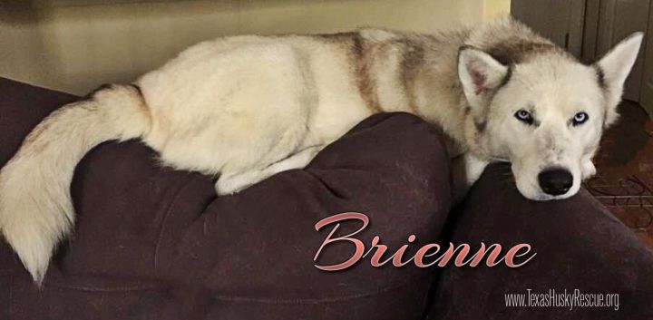 Brienne--Coming Soon! 5