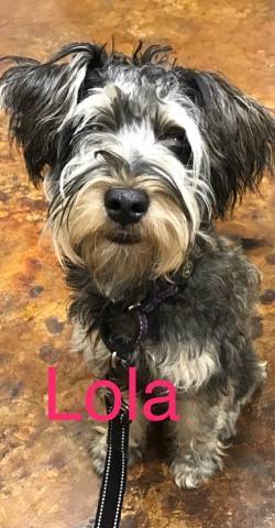 Lola 1