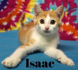 Isaac-Mr. Personality!