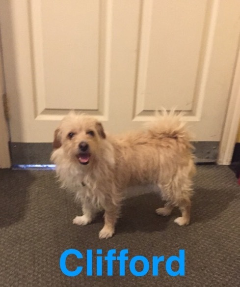 Clifford 2