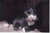 Saturn photo 2