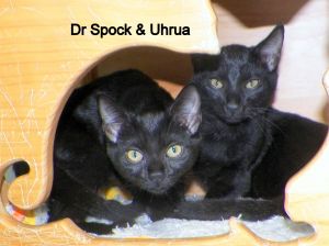Dr Spock & Uhrua
