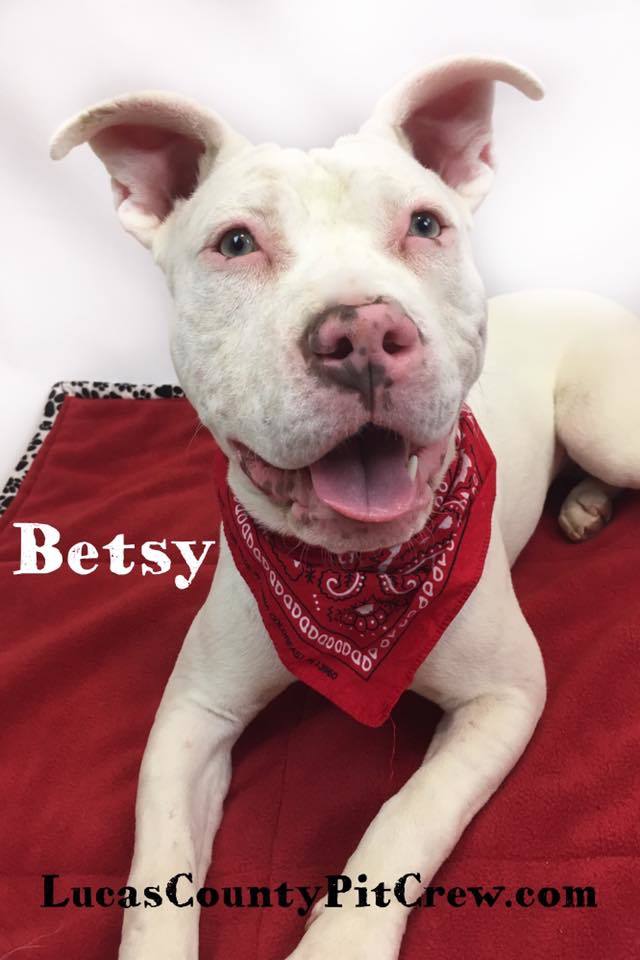 Betsy 1