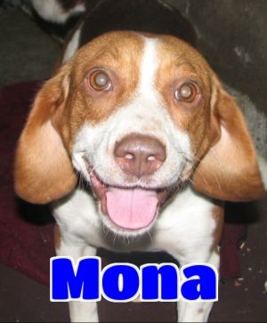 #2972 Mona - sponsored