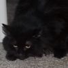 Betty photo 4