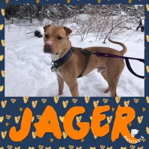 Jager (Yager)