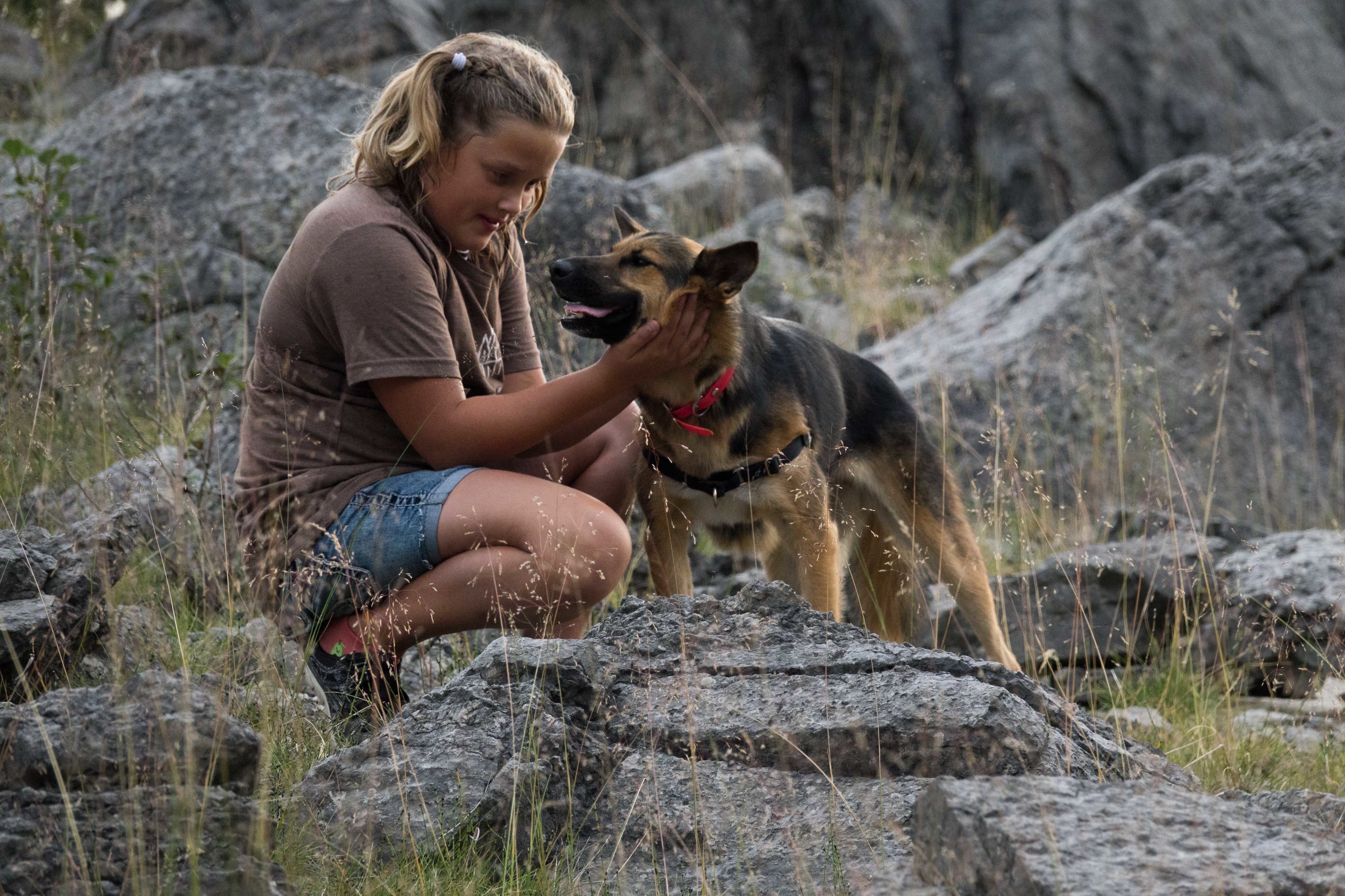 Avril, an adoptable German Shepherd Dog in Edmonton, AB, T5B 2B7 | Photo Image 7