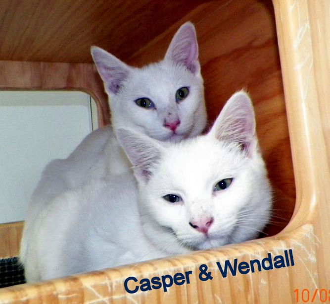 Casper & Wendall